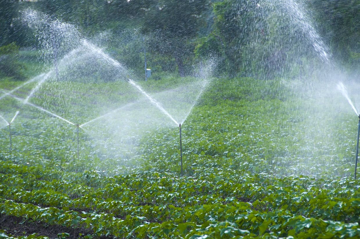 Top 7 Benefits of Installing an Automatic Irrigation System